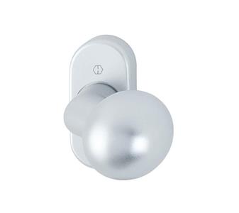 159633 Feuerschutz-Profiltür Knopfrosette.jpg